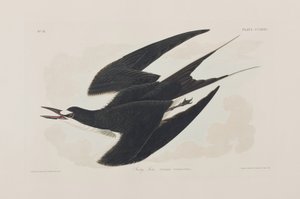 Illustration de 