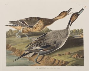 Illustration de 