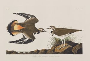 Illustration de 