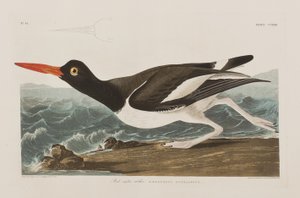 Illustration de 