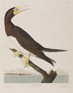 Illustration de 