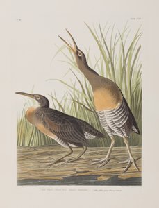 Illustration de 