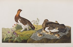 Illustration de 