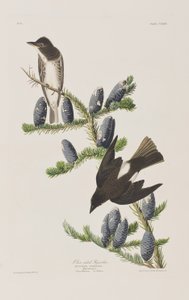 Illustration de 