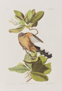 Illustration de 