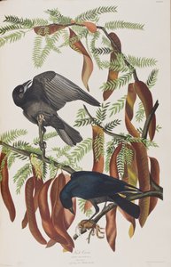 Illustration de 