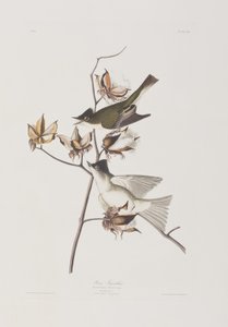 Illustration de 