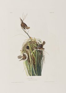 Illustration de 