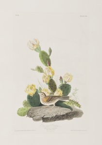 Illustration de 