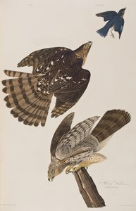 Illustration de 