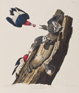Illustration de 