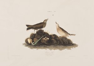 Illustration de 