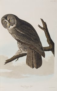 Illustration de 