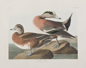 Illustration de 