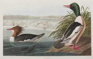 Illustration de 
