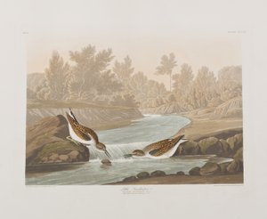 Illustration de 