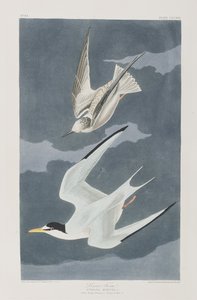 Illustration de 