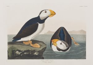 Illustration de 