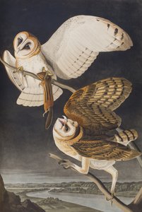 Illustration de 