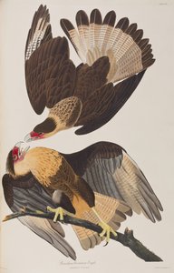 Illustration de 