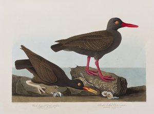 Illustration de 