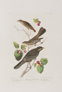 Illustration de 
