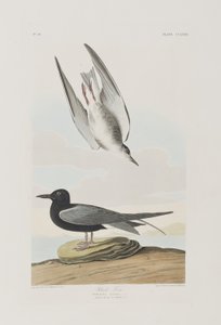 Illustration de 
