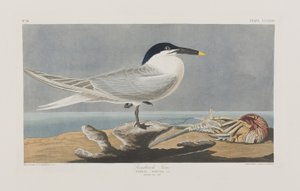 Illustration de 
