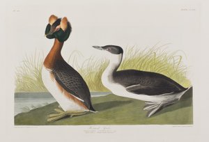 Illustration de 