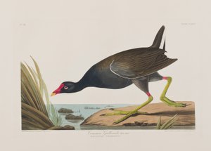 Illustration de 