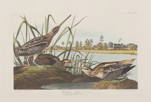 Illustration de 