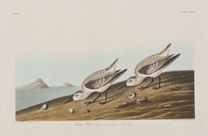 Illustration de 