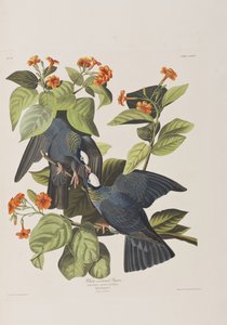 Illustration de 