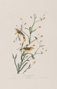 Illustration de 
