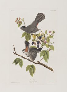 Illustration de 