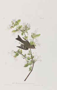 Illustration de 