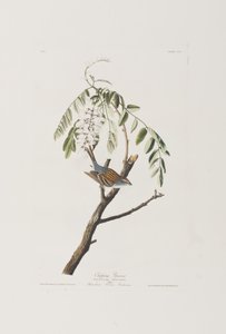 Illustration de 