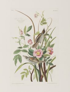 Illustration de 