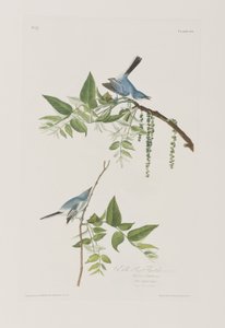 Illustration de 