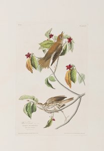 Illustration de 