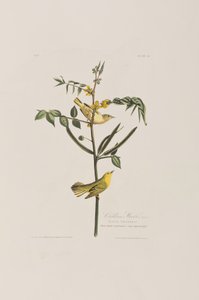 Illustration de 