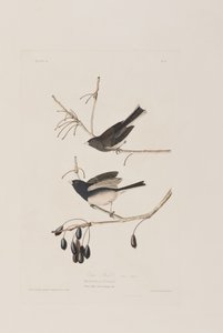 Illustration de 