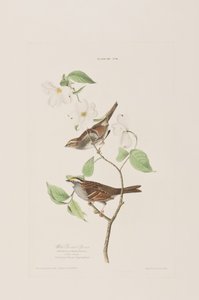 Illustration de 