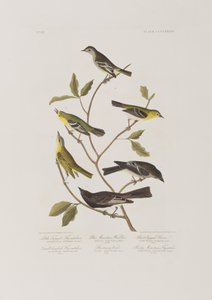 Illustration de 