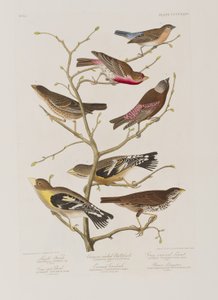 Illustration de 