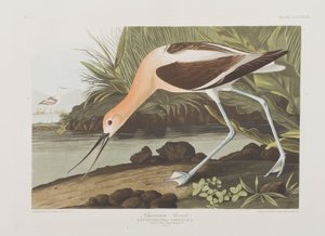 Illustration de 