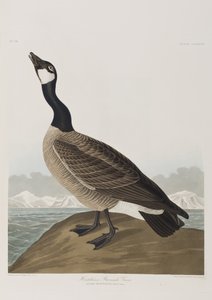 Illustration de 