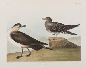 Illustration de 