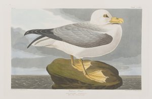 Illustration de 