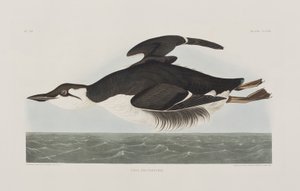 Illustration de 